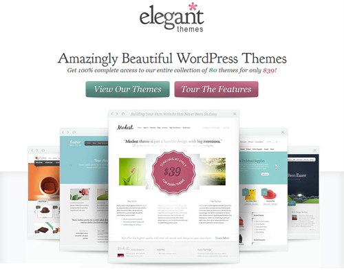 Premium WordPress Themes Providers - ElegantThemes Review