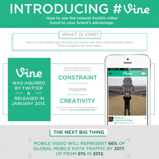 vine services